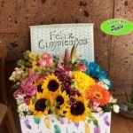 Caja Primaveral
